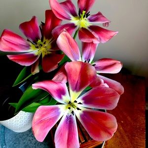 💐 Make me an offer!! 💐